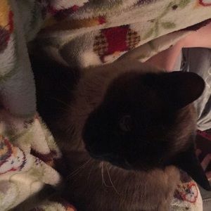 Meet your Posher, Amber